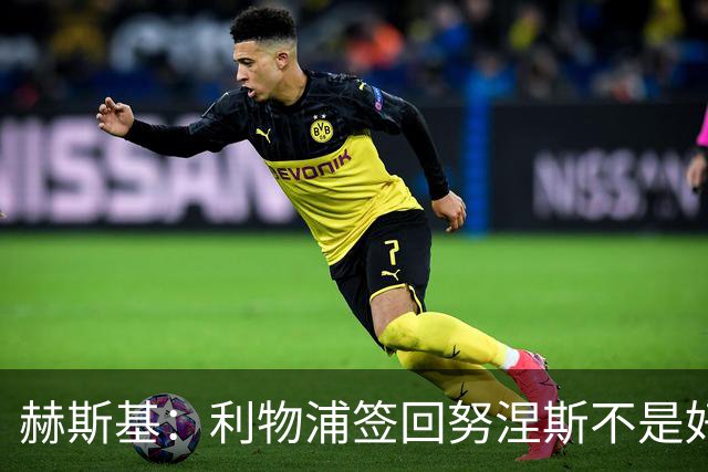 赫斯基：利物浦签回努涅斯不是好主意，应该给恩古莫哈更多机会